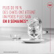Chat mangeant dans une assiette à côté d'un bol d'eau ; texte rouge en français : « Plus de 90%... en 8 semaines » et petit logo de couronne.