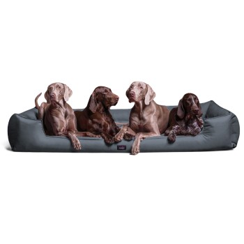 Vier Hunde verschiedener Rassen liegen auf einem grauen Haustierbett, mit einem Textüberlagerung, die besagt: 'INKLUSIVE MATRATZENSCHONER GIBT'S OBENDRAUF.'