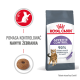 Torba karmy dla kotów Royal Canin Appetite Control z grafiką kota i tekstem: "90% właścicieli zgłosiło kontrolowane żebranie w ciągu 4 tygodni."