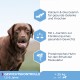 Ein brauner Hund auf einem hellen Hintergrund mit Text über die Vorteile einer Gewichtsreduktionsdiät: Calcium, Glucosamin, L-Carnitin und proteinreiches Huhn.