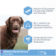 Ein brauner Hund auf einem hellen Hintergrund mit Text über die Vorteile einer Gewichtsreduktionsdiät: Calcium, Glucosamin, L-Carnitin und proteinreiches Huhn.