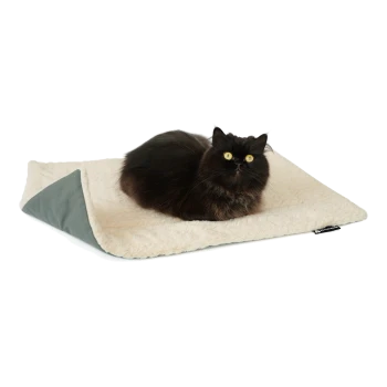 Eine flauschige schwarze Katze mit leuchtend gelben Augen ruht auf einem weichen, cremefarbenen Haustierbett mit einer grauen Ecke.