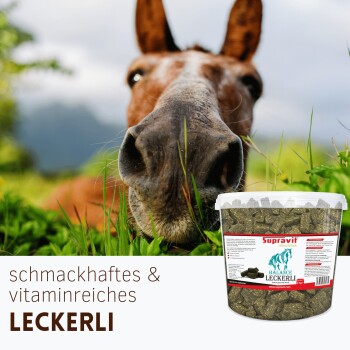 Pferdeschnauze dicht im Gras neben einem Eimer Supravit Balance Leckerli; Schriftzug 'schmackhaftes & vitaminreiches LECKERLI'
