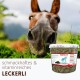 Pferdeschnauze dicht im Gras neben einem Eimer Supravit Balance Leckerli; Schriftzug 'schmackhaftes & vitaminreiches LECKERLI'