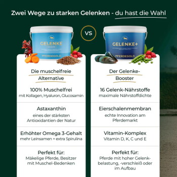 Bild zur Förderung des Pferdegold-Pferdesupplements mit handverlesenen Zutaten wie Leinsamen, Karotten, Hagebutte, MSM, Glucosamin und Chondroitin.