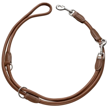 Braune Leder-Hundeleine mit silbernen Metallclips und Ringen, mit einem Schlaufenhandgriff für einfachen Halt.