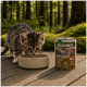 Getigertes Kätzchen trinkt aus einer Schale neben einer Dose mit der Aufschrift 'WILDERNESS KITTEN - Wide Savannah' auf einem Holzboden vor Waldkulisse.