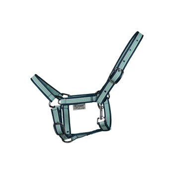 Ein türkis-weiß gestreites Haustiergeschirr mit Metall-Schnallen und einem Etikett mit der Aufschrift 'EQuest' an der Seite.