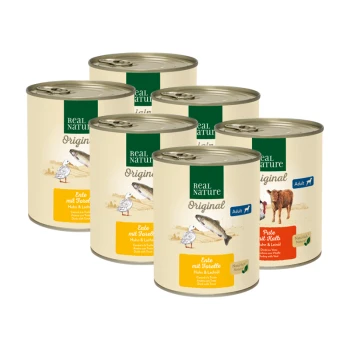 Sechs Dosen Real Nature Original Tiernahrung, mit Geschmacksrichtungen wie Ente mit Forelle und Huhn mit Lachs, gekennzeichnet für erwachsene Haustiere.
