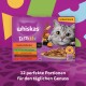 Pudełko karmy dla kotów Whiskas TastyMix Country Collection z szarym kotem, zawierające smaki jagnięciny, kurczaka, indyka, kaczki i wołowiny.
