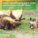 Ein verspielter Hund und eine Katze, die auf dem Gras liegen, mit einem Textüberlagerung in Deutsch und Englisch, die ein Abwehrspray für langanhaltenden Schutz bewirbt.