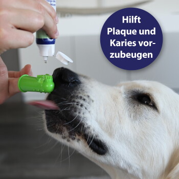Hund mit grüner Fingerzahnbürste, auf die Zahnpasta aufgetragen ist; blaues Abzeichen: 'Hilft Plaque und Karies vorzubeugen.'