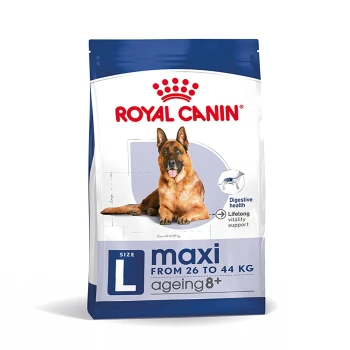 SHN Maxi Veroudering 8+ 3 kg Royal Canin hondenvoer zak voor grote rassen, met een Duitse herder, gelabeld "maxi" voor honden 8+, ter bevordering van de spijsverteringsgezondheid.