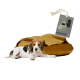 Ein entspannter Hund liegt auf einem plüschigen, goldbraunen Haustierbett, mit einem Etikett, das ein Set von Hundekotbeuteln zeigt, das in der Nähe angebracht ist.