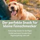 Grüner zylindrischer Behälter mit Hundesnacks für Agilität, mit einem Pfotenabdruck-Design, beschriftet mit "Yummy Snacks" und "Für Hunde."