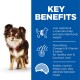 A cute brown and white Chihuahua on a white background, beside a blue section highlighting low calories, Omega-6, and satiety control.
