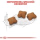 Drei sternförmige braune Kroketten auf einem weißen Hintergrund, mit einer Skizze eines Lineals und dem Text: "ODPOWIEDNIA WIELKOŚĆ KROKIETÓW."
