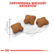 Drei sternförmige braune Kroketten auf einem weißen Hintergrund, mit einer Skizze eines Lineals und dem Text: "ODPOWIEDNIA WIELKOŚĆ KROKIETÓW."
