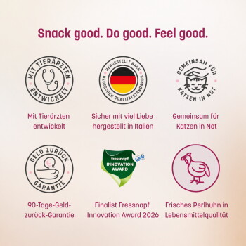 Sechs hypoallergene KatKare-Snackdosen auf einer Küchenarbeitsfläche mit der Überschrift „6 Unwiderstehliche Sorten“ und Geschmacks-Icons.