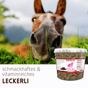 Nahaufnahme einer Pferdenase am Gras neben einem Eimer Supravit Vital Mix; sichtbarer Text 'schmackhaftes & vitaminreiches LECKERLI'