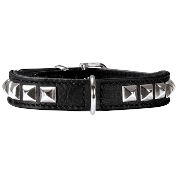 Schwarzes Leder-Haustierhalsband, verziert mit silbernen Pyramidennieten und einer Metallschnalle.