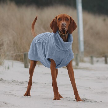 Ein brauner Hund, der einen weichen blauen Haustier-Hoodie trägt, steht an einem sandigen Strand, mit Gras und einem Pfosten im Hintergrund sichtbar.