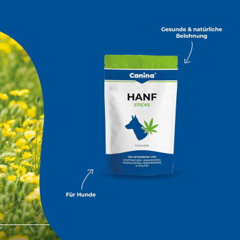 Canina HANF Sticks Hundesnack-Beutel (Hanf) vor blauem Hintergrund mit gelben Blumen; sichtbare Aufschrift 'Für Hunde'.