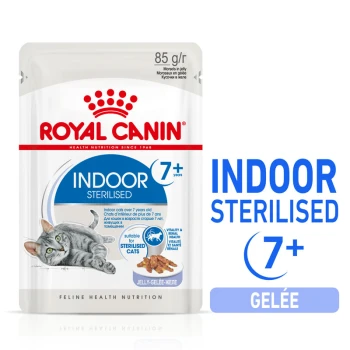 Nourriture pour chats Royal Canin Indoor Sterilised pour les chats de plus de 7 ans, avec un chat gris sur l'emballage, avec le texte "85 g/r" et "Gelée".