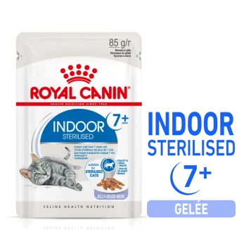 Nourriture pour chats Royal Canin Indoor Sterilised pour les chats de plus de 7 ans, avec un chat gris sur l'emballage, avec le texte "85 g/r" et "Gelée".