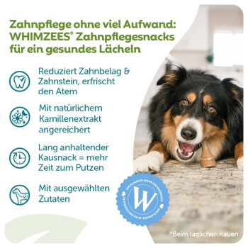 Dreifarbiger Hund, der einen WHIMZEES-Zahnpflegesnack kaut; sichtbarer deutscher Text: „WHIMZEES Zahnpflegesnacks – für ein gesundes Lächeln“.