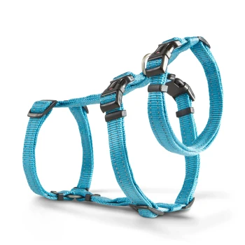 Blaues verstellbares Nylon-Hundegeschirr mit schwarzen Kunststoffschnallen und Metallringen vor weißem Hintergrund.