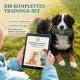 Ein verspielter brauner Hund hält ein Trainingshilfsmittel im Mund und läuft glücklich auf einem grasbewachsenen Feld. Der Text lautet: "Eine exzellente Hilfe für's Rückruftraining."