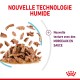 Sensory Feel en sauce pour chats exigeants 12x85 g