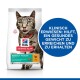 Hill's Science Plan Katzenfutterbeutel mit einer getigerten Katze. Der Text hebt "Perfektes Gewicht" hervor und behauptet, dabei zu helfen, ein gesundes Gewicht zu halten.