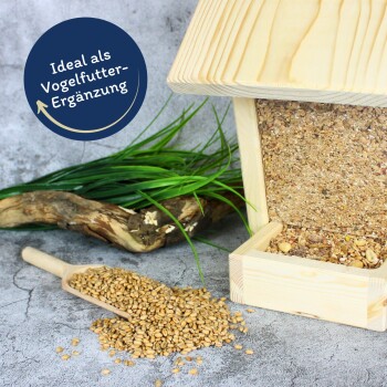 Holz-Vogelfutterspender gefüllt mit Samen, mit verschütteten Samen auf dem Boden und grünem Gras im Hintergrund. Text: "Ideal als Vogelfutter-Ergänzung."