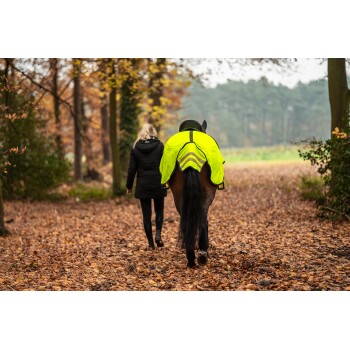 Eine Frau in einem schwarzen Mantel führt ein Pferd mit einer leuchtend gelben reflektierenden Decke auf einem blätterbedeckten Weg im Wald.