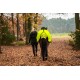 Eine Frau in einem schwarzen Mantel führt ein Pferd mit einer leuchtend gelben reflektierenden Decke auf einem blätterbedeckten Weg im Wald.