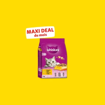 Sac de nourriture pour chat Whiskas 7 kg avec un chat gris et un bol, étiqueté "MAXI DEAL du mois" sur fond jaune.