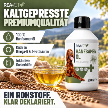 Etikett für REAVET Hanföl Naturrein, mit einem braunen Hund, das Omega-3- und Omega-6-Fettsäuren hervorhebt und Anwendungshinweise enthält.