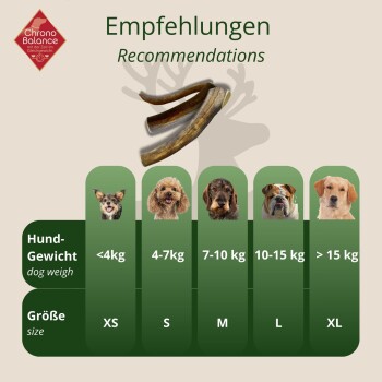 Diagramm, das die Größenempfehlungen für Hunde für ein Haustierprodukt in fünf Gewichtskategorien anzeigt: XS, S, M, L und XL.