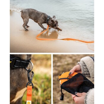 Französische Bulldogge mit orangefarbener Leine spielt am Strand; Nahaufnahmen von Leinenclip am Halsband und Händen, die eine orangefarbene ausziehbare Leine in einer schwarzen Tasche halten.