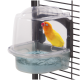 Ein lebhaft gelber Vogel, der in einer klaren Wasserschale sitzt, die an einem schwarzen Vogelkäfig befestigt ist, mit Wasser, das in der Schale sichtbar ist.