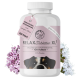 Flasche "Relax Tablets XL" für Hunde, beschriftet mit dem Gesicht eines Hundes, mit 250 Tabletten für Entspannung und Stressabbau.