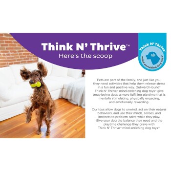 Ein glücklicher Hund mit langen, schlaffen Ohren springt in einem Wohnzimmer und hält ein grünes Spielzeug im Mund. Der Text lautet: "Think N' Thrive™ Hier ist die Neuigkeit."