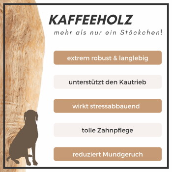 Kaffeholz-Hundekauartikel-Anzeige, die Haltbarkeit, Stressabbau, Zahnpflege und Reduzierung von schlechtem Atem hervorhebt.