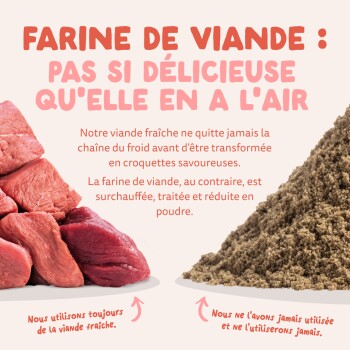 Viande fraîche crue (à gauche) et poudre de farine de viande (à droite) ; titre en français « FARINE DE VIANDE... » et légendes favorisant la viande fraîche.