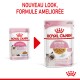 Image de deux sachets de nourriture pour chatons Royal Canin, présentant un nouveau look et une formule améliorée. Le texte indique "NOUVEAU LOOK, FORMULE AMÉLIORÉE."