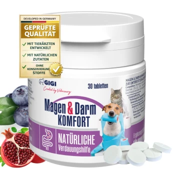 Behälter von GIGI Magen & Darm Komfort, ein natürliches Verdauungshilfsmittel für Haustiere, mit einem Hund und einer Katze auf dem Etikett neben Heidelbeeren und Granatapfel.