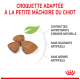 Trois croquettes triangulaires pour chiot ; en français : adapté aux petites mâchoires des chiots ; antioxydants naturels ; sans colorants ni arômes artificiels