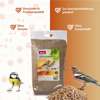 Ein großer Haufen roher Sonnenblumenkerne auf einem weißen Hintergrund, der ihre hellbraune Farbe und ovale Form zeigt.